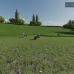 maypole farm v2 fs22 17