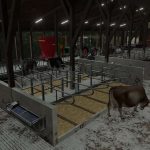 medium sized cow barn v1.0 fs22 1