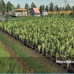 mezofalva farm v2.0 fs22 9