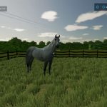 monewden full release map v1.0 fs22 9