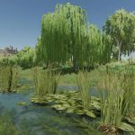 natural waterplants v1.0 fs22 3