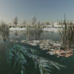 natural waterplants v1.0 fs22 5