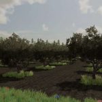 olives 2B olive picker v1.0 fs22 2