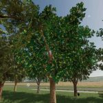 orchards fruits v1.0 fs22 2