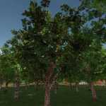 orchards fruits v1.0.0.1 fs22 1