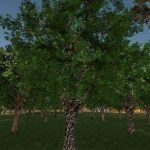 orchards fruits v1.0.0.1 fs22 3