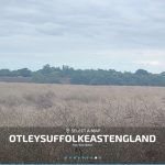 otley suffolkeastengland 28updated 29 v1.0 fs22 10