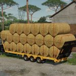 pavelli rat pack v1.0 fs22 3