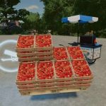 picnic decoration pack v1.0 fs22 4