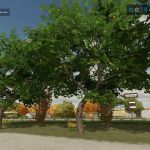 placeable orange tree v1.0 fs22 2