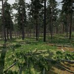 plintsby reworked a extended v1.0 fs22 3