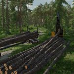 pole trailer v1.0 fs22 3