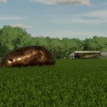 potato v1.0 fs22 6