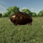 potato v1.0 fs22 8