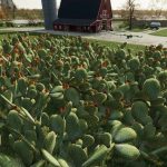 prickly pear cactus v1.0 fs22 4