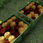 prickly pear cactus v1.0 fs22 5