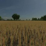 realistic canola growth v1.0 fs22 2