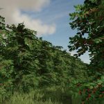 recanto da alvorada map v1.1 fs22 5