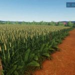 santa amelia farm v1.1 fs22 3