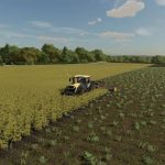 seedpotato farm vehicle pack v1.0 fs22 2