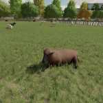 sheepbarnxxl v1.0 fs22 1