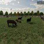 sheepbarnxxl v1.0 fs22 2