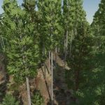 silver run save game 28more trees added 29 v1.0 fs22 4