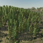 silver run save game 28more trees added 29 v1.0 fs22 5