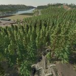 silver run save game 28more trees added 29 v1.0 fs22 6