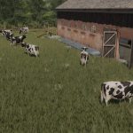 small cowshed with pasture v1.0 fs22 6