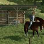 small horse pasture v1.0 fs22 1