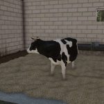 small polish cowshed v1.0 fs22 3