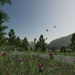 sollbach map v1.0.3 fs22 4