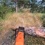 stihl ms 661 c v1.1 fs22 5