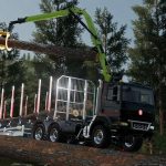 tatra phoenix l crane v1.0 fs22 4