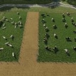 temporary grazing pastures v1.0 fs22 3