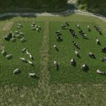 temporary grazing pastures v1.0.0.1 fs22 3