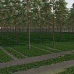 the plantation v1.0.0.1 fs22 5