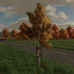 treesupport v1.0 fs22 1