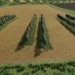 variable olivevine widths v1.0 fs22 2