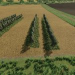 variable olivevine widths v1.0 fs22 4