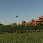 variable vine widths v1.0 fs22 2 1