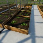 vegetable greenhouses melons 2C watermelons v1.0 fs22 6