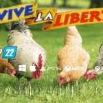 vive la liberte 21 fs22 1