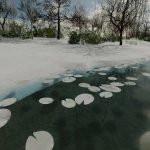 water lilies mix v1.0 fs22 4