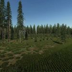 wild river forest v1.0 fs22 3