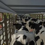 wilson silverstar livestock trailer v1.0 fs22 3