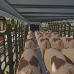 wilson silverstar livestock trailer v1.0 fs22 6