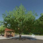 apple tree v1.0 fs22 4