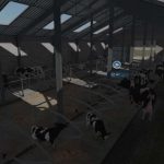 big cow barn v1.1 fs22 3